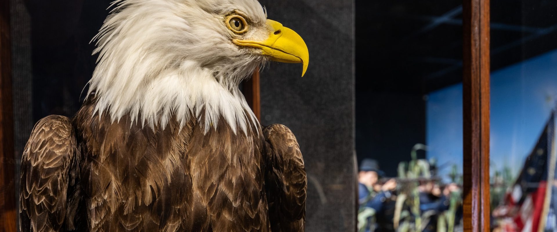 Assisting with Special Events in the Eagle Historical Society