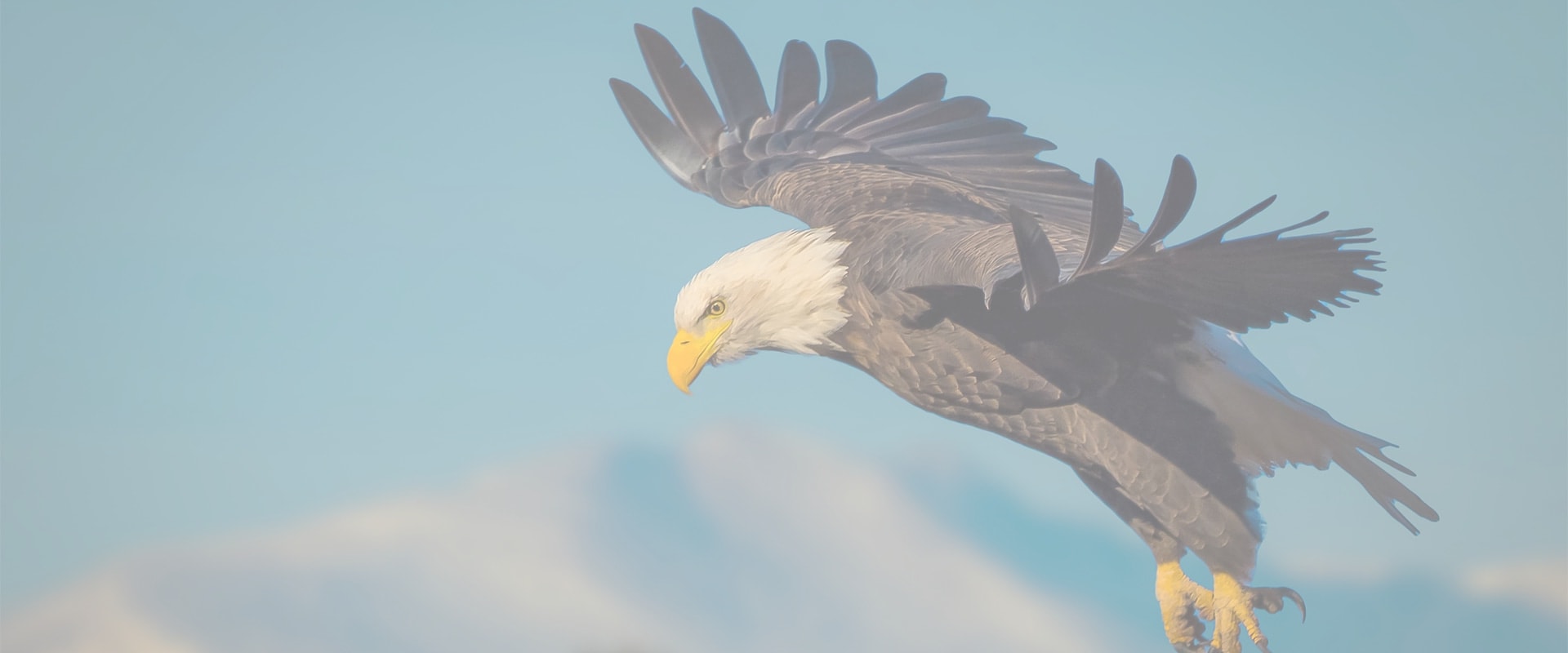Photographs and Maps of Eagle: Exploring the Rich History and Community Heritage