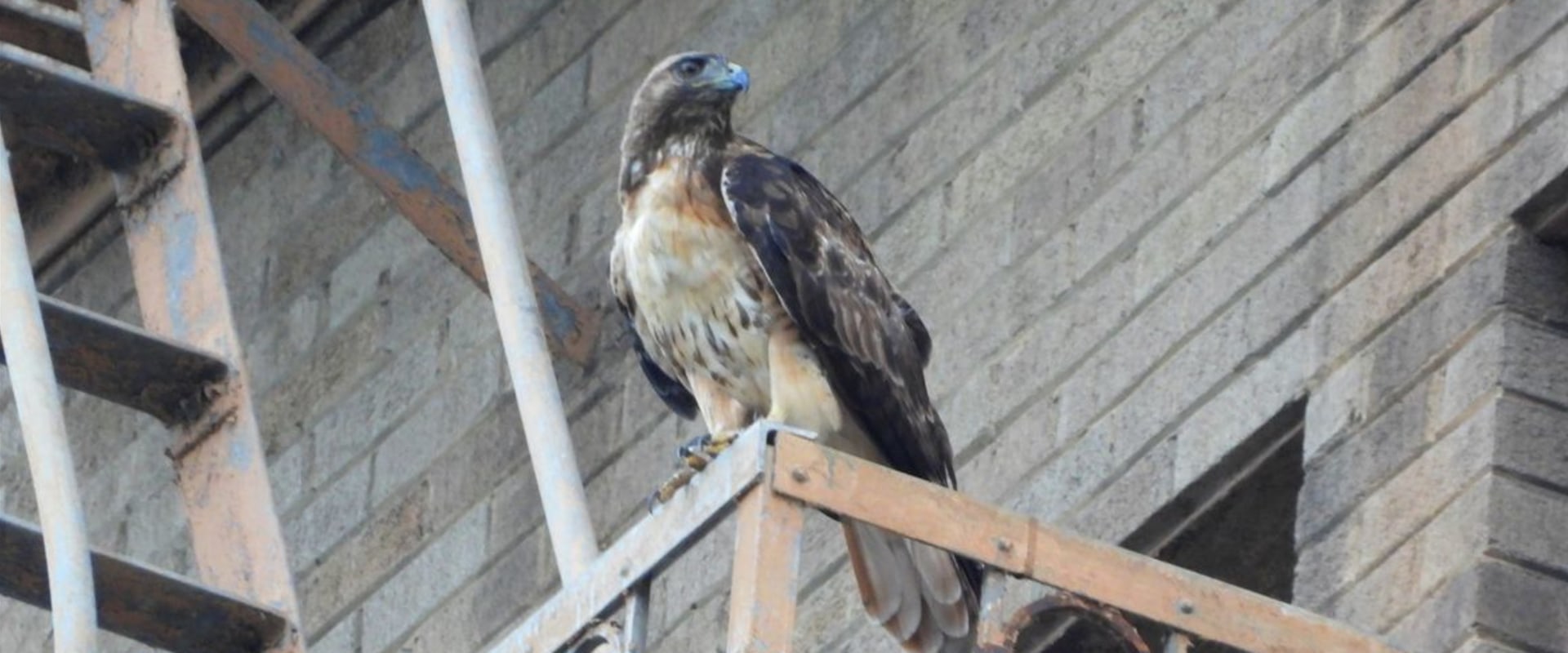 Eagle's Evolution: From a Small Town to a Thriving City