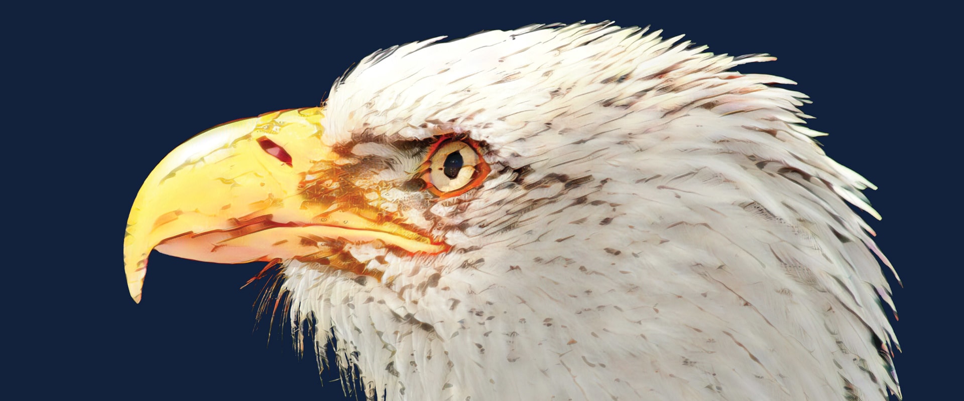 Exploring the Boomtown Years of Eagle