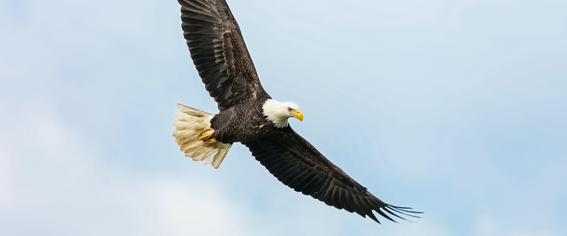 Exploring the Rich History of Eagle, Idaho