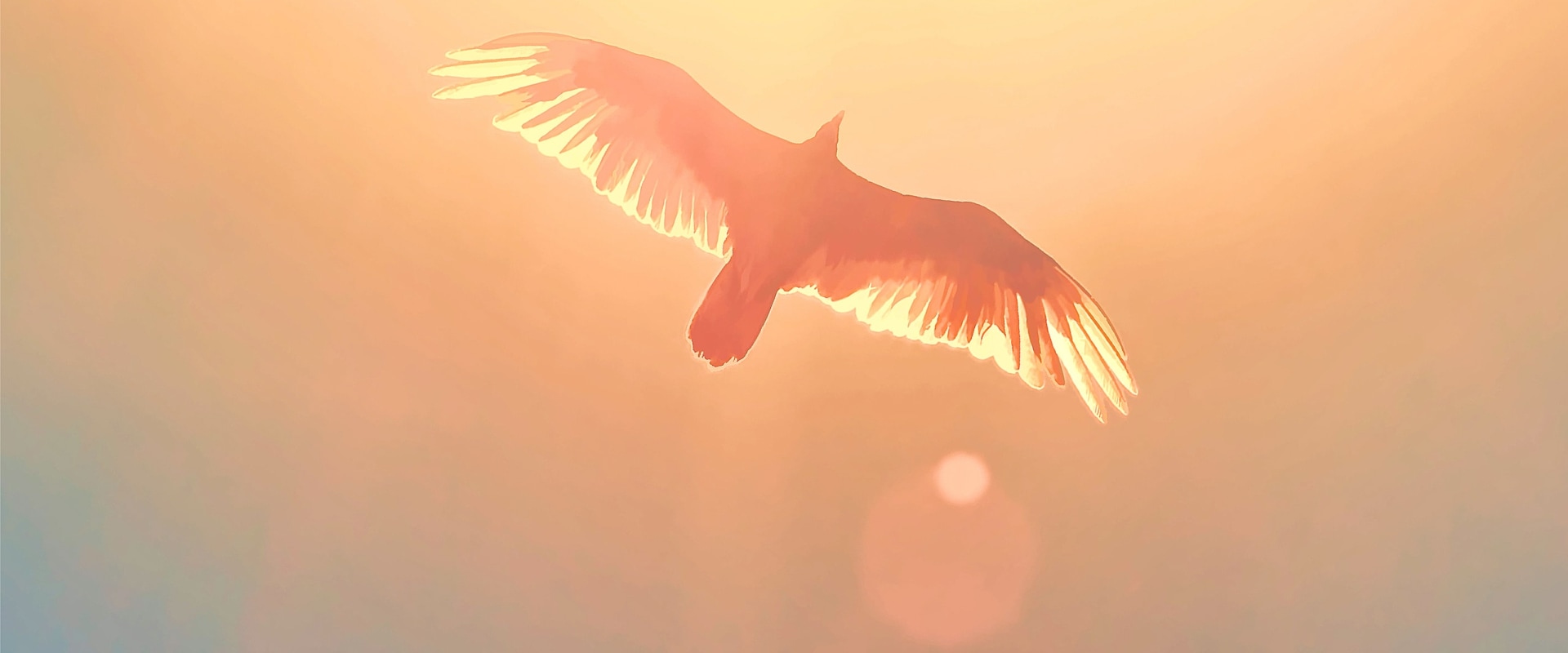Tracing Your Family's Roots in Eagle: A Journey Through Local History and Heritage