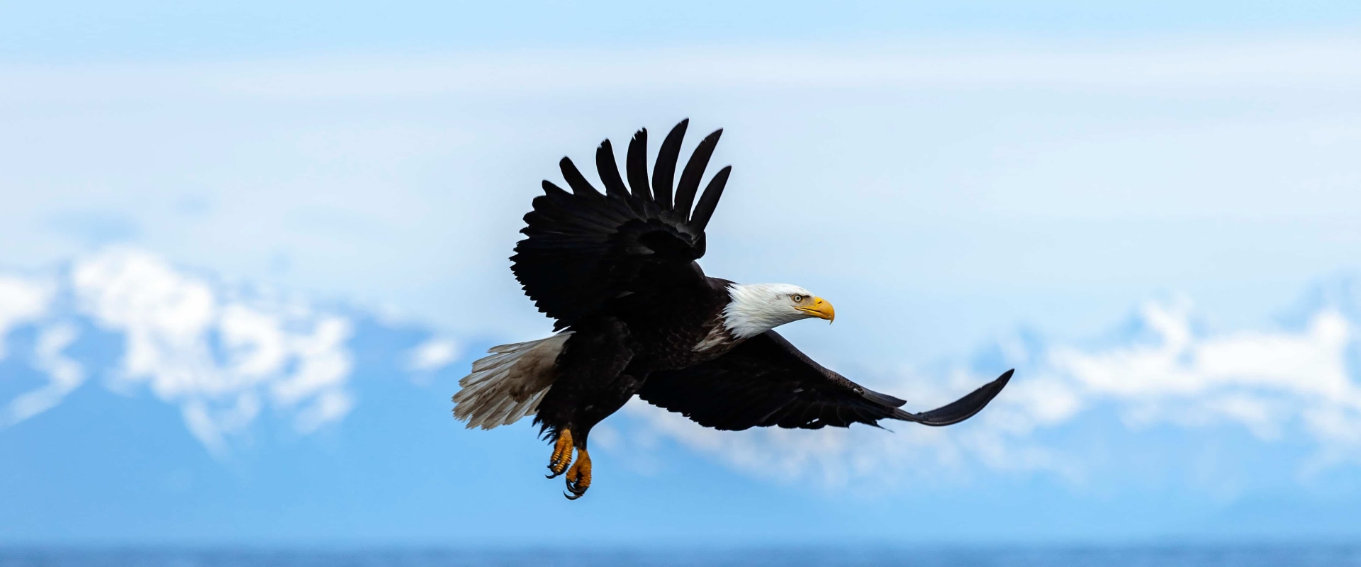 The History and Heritage of Eagle: A Guide to the Eagle Historical Society