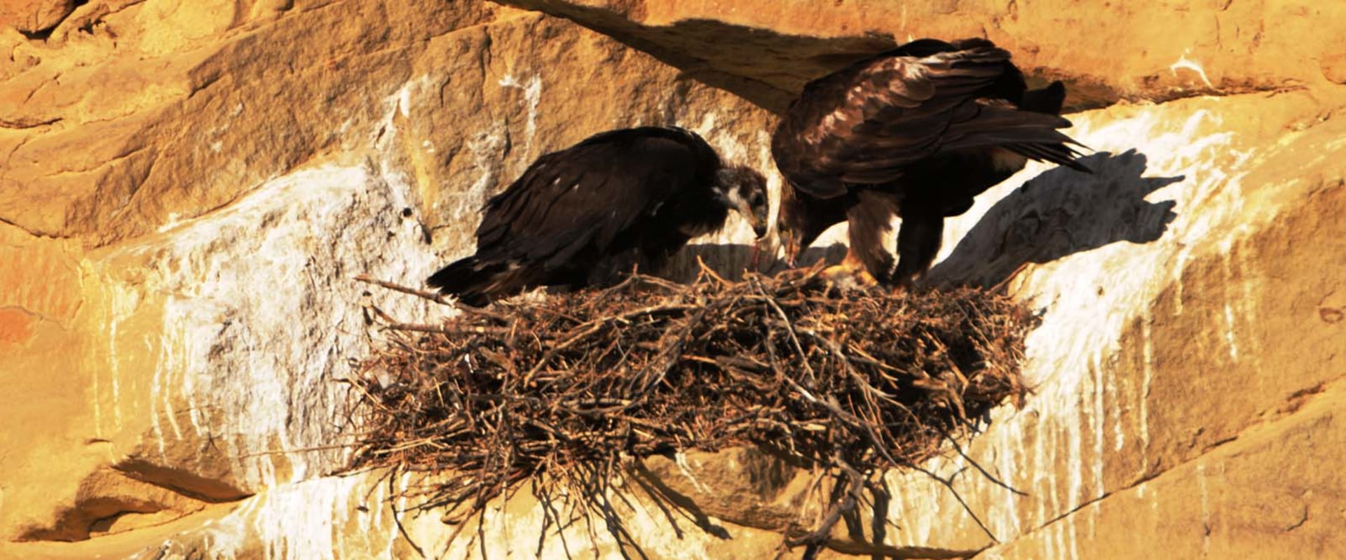 In-Classroom Presentations on History: Exploring the Eagle Historical Society