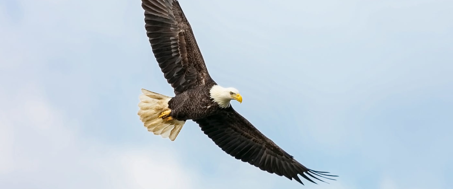 Exploring the Rich History of Eagle Through the Eagle Historical Society