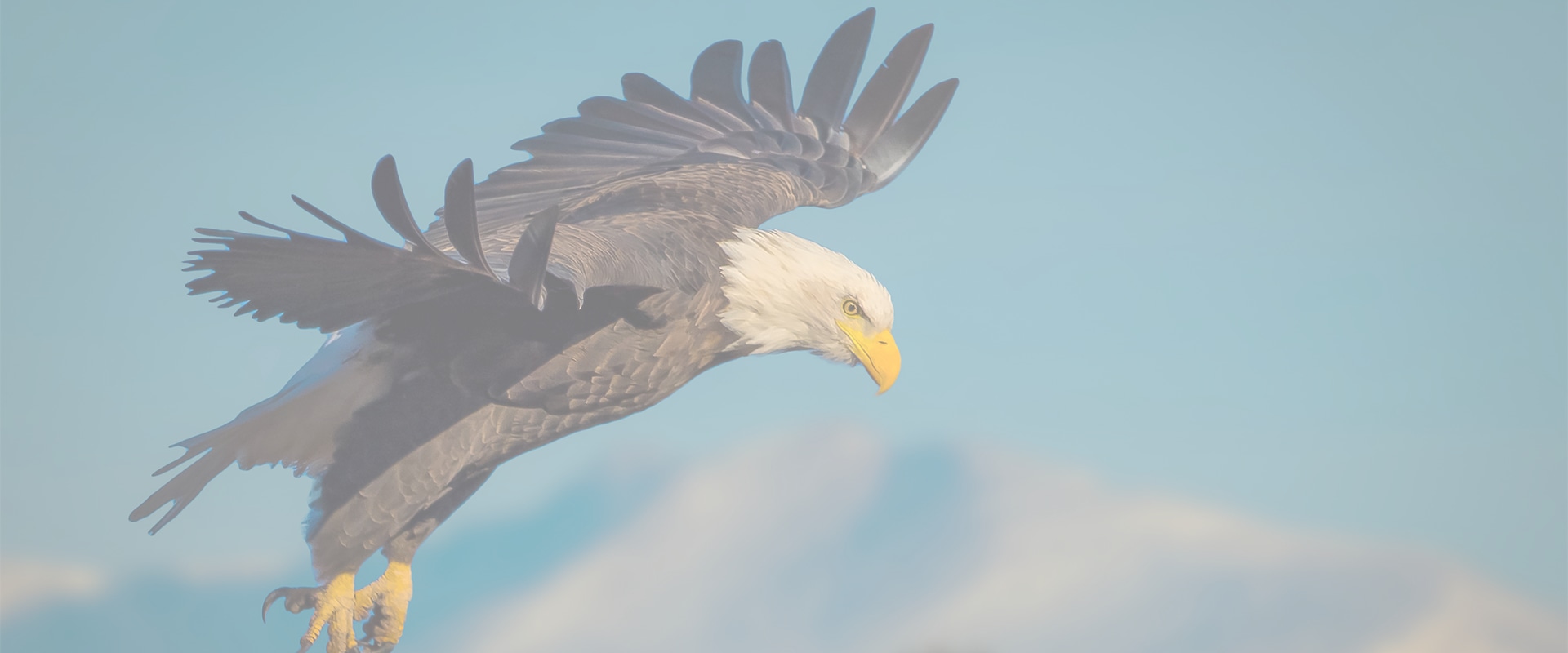 Exploring the Rich History of Eagle through Oral Histories and Interviews
