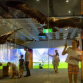 Discovering the Rich History of Eagle: A Guide to Visiting the Museum and Archives