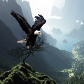 Tips for Organizing Your Research: A Comprehensive Guide to Discovering the History of Eagle