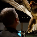 Discover the Fascinating History of Eagle at the Local Museum