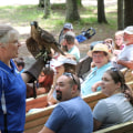 Exploring the Rich History of Eagle: A Journey Through Pioneer Days