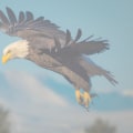 Exploring the Rich History of Eagle through Oral Histories and Interviews