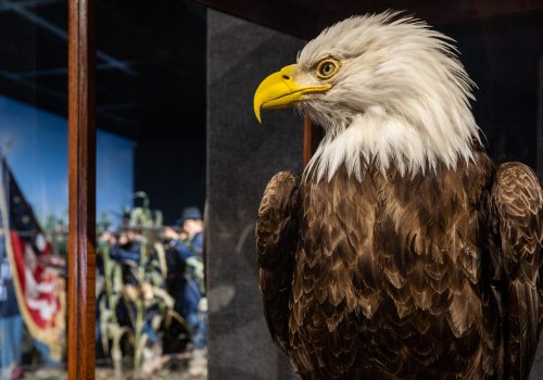 Assisting with Special Events in the Eagle Historical Society