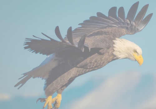 Photographs and Maps of Eagle: Exploring the Rich History and Community Heritage