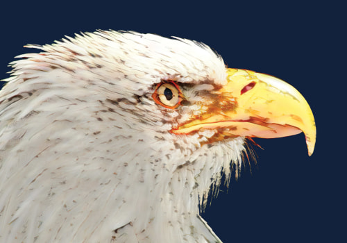 Exploring the Boomtown Years of Eagle