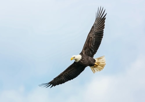 Exploring the Rich History of Eagle, Idaho