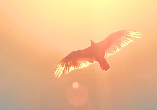 Tracing Your Family's Roots in Eagle: A Journey Through Local History and Heritage